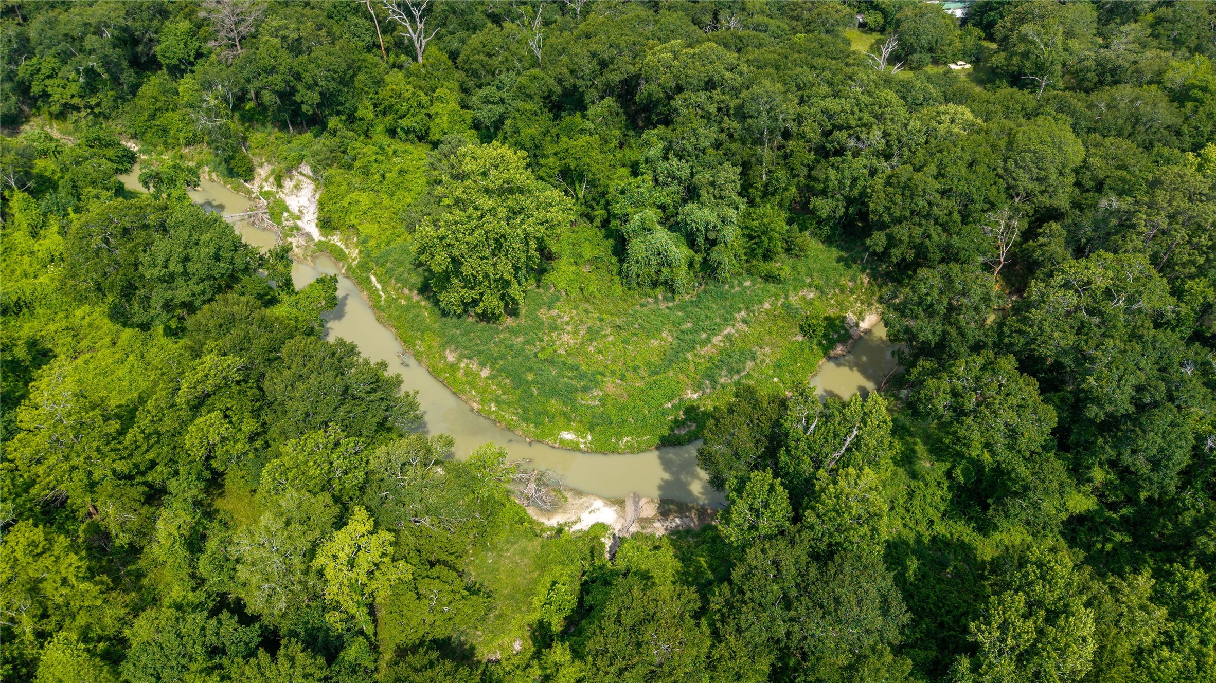 12625 Huffmeister Road Cypress, TX 77429 - Photo 30 of 35 a close up of a lush green forest