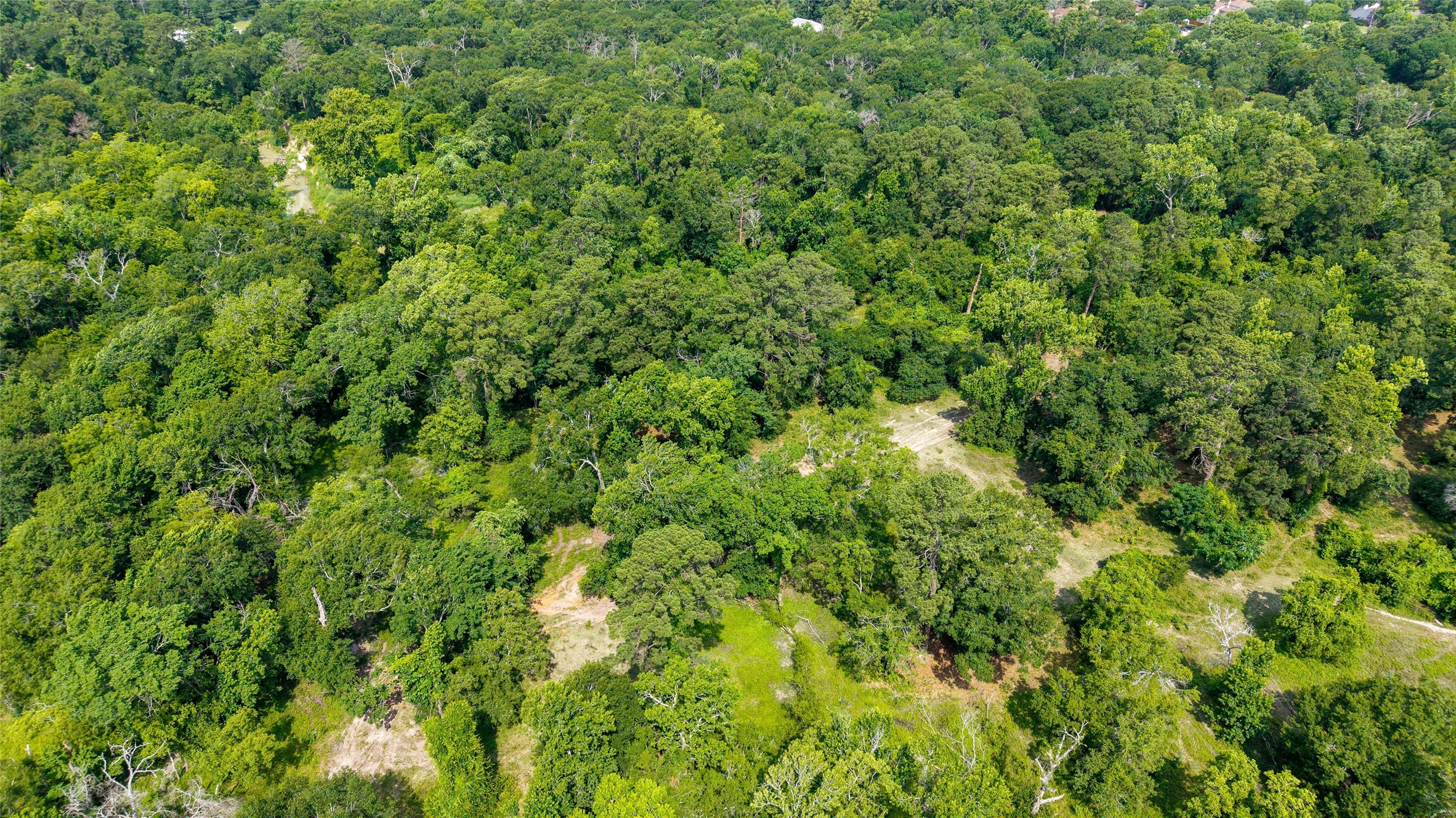12625 Huffmeister Road Cypress, TX 77429 - Photo 31 of 35 a view of a lush green forest