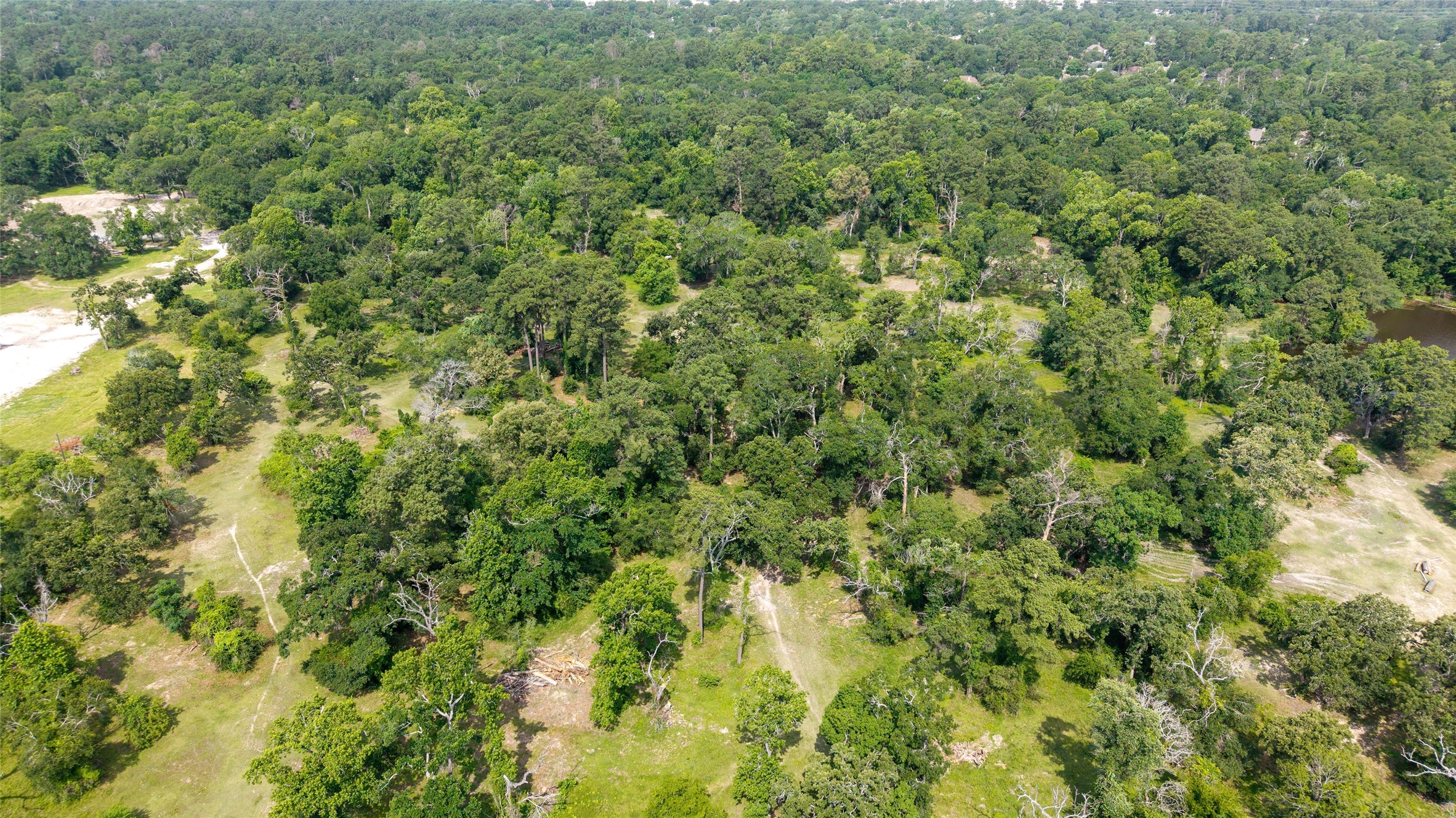 12625 Huffmeister Road Cypress, TX 77429 - Photo 32 of 35 a view of a big yard with plants and large trees