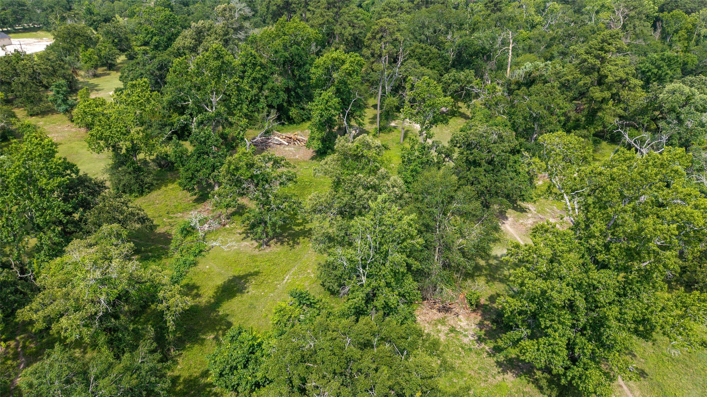 12625 Huffmeister Road Cypress, TX 77429 - Photo 33 of 35 a view of a lush green forest
