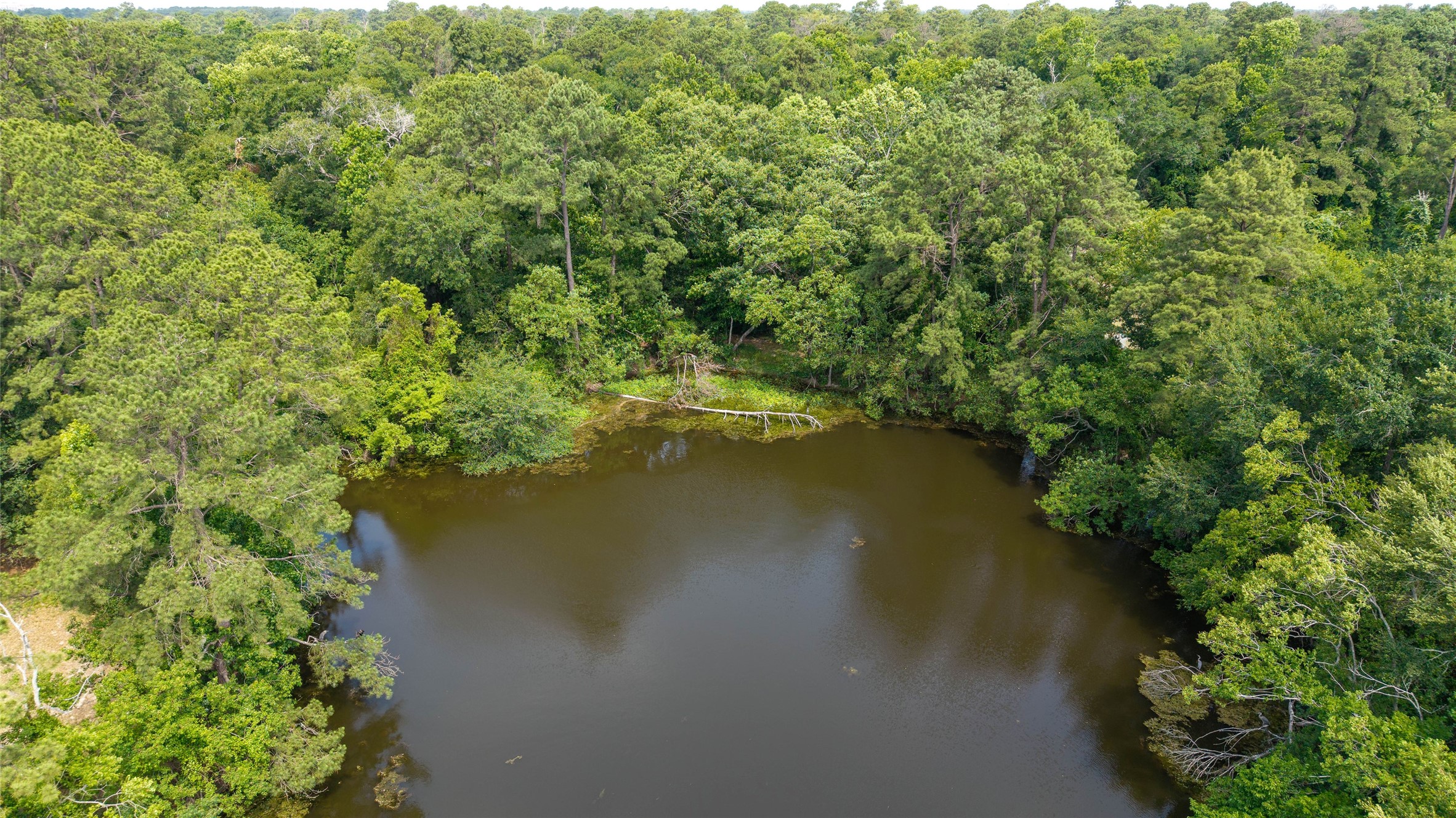 12625 Huffmeister Road Cypress, TX 77429 - Photo 9 of 35 a view of a lake with a yard