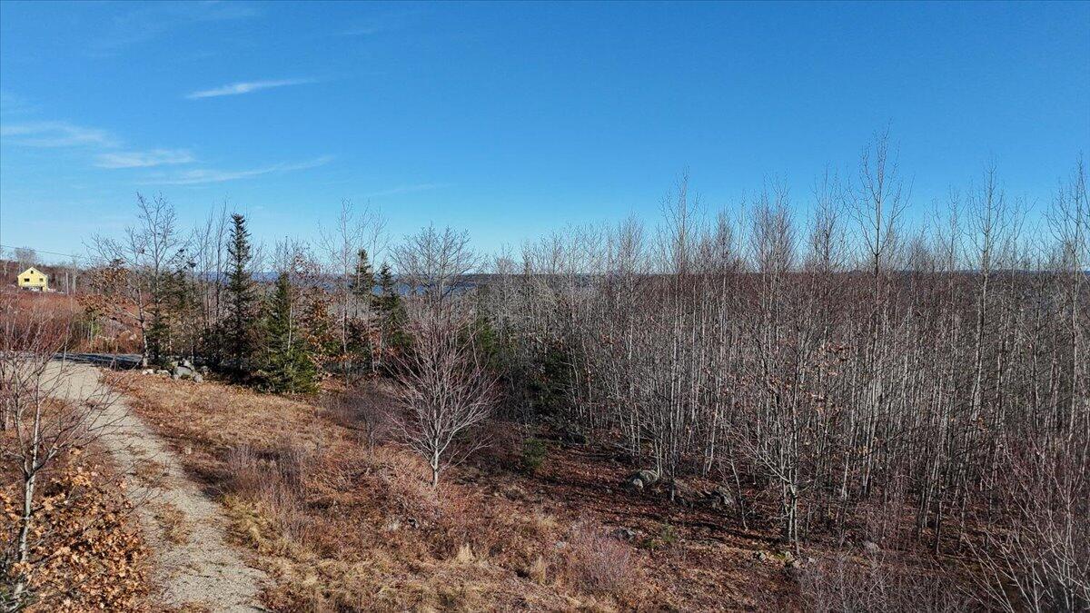 160 Pound Hill Road Northport, ME 04849 - Photo 37 of 62 61-160 Pound Hill-61