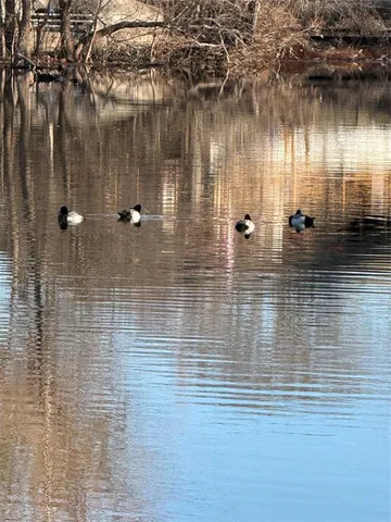 a view of a lake view