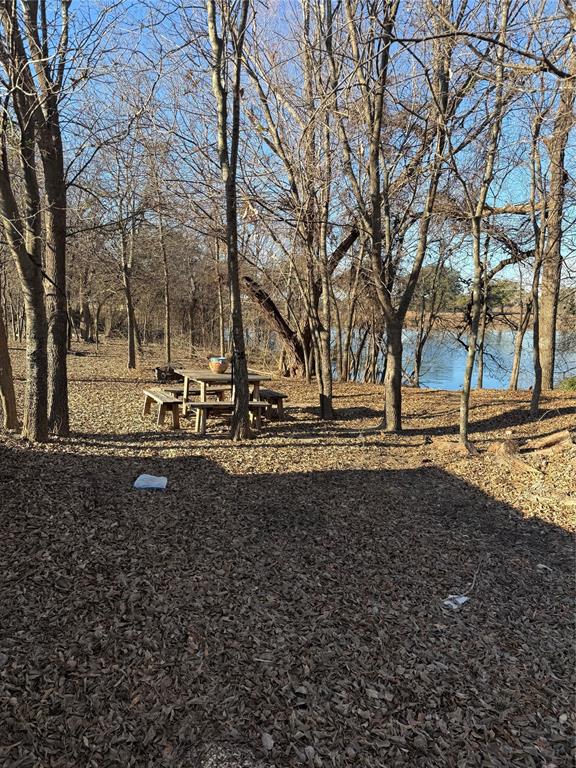 29 North Shore Circle Waco, TX 76708 - Photo 20 of 20 a view of dirt yard with a large tree