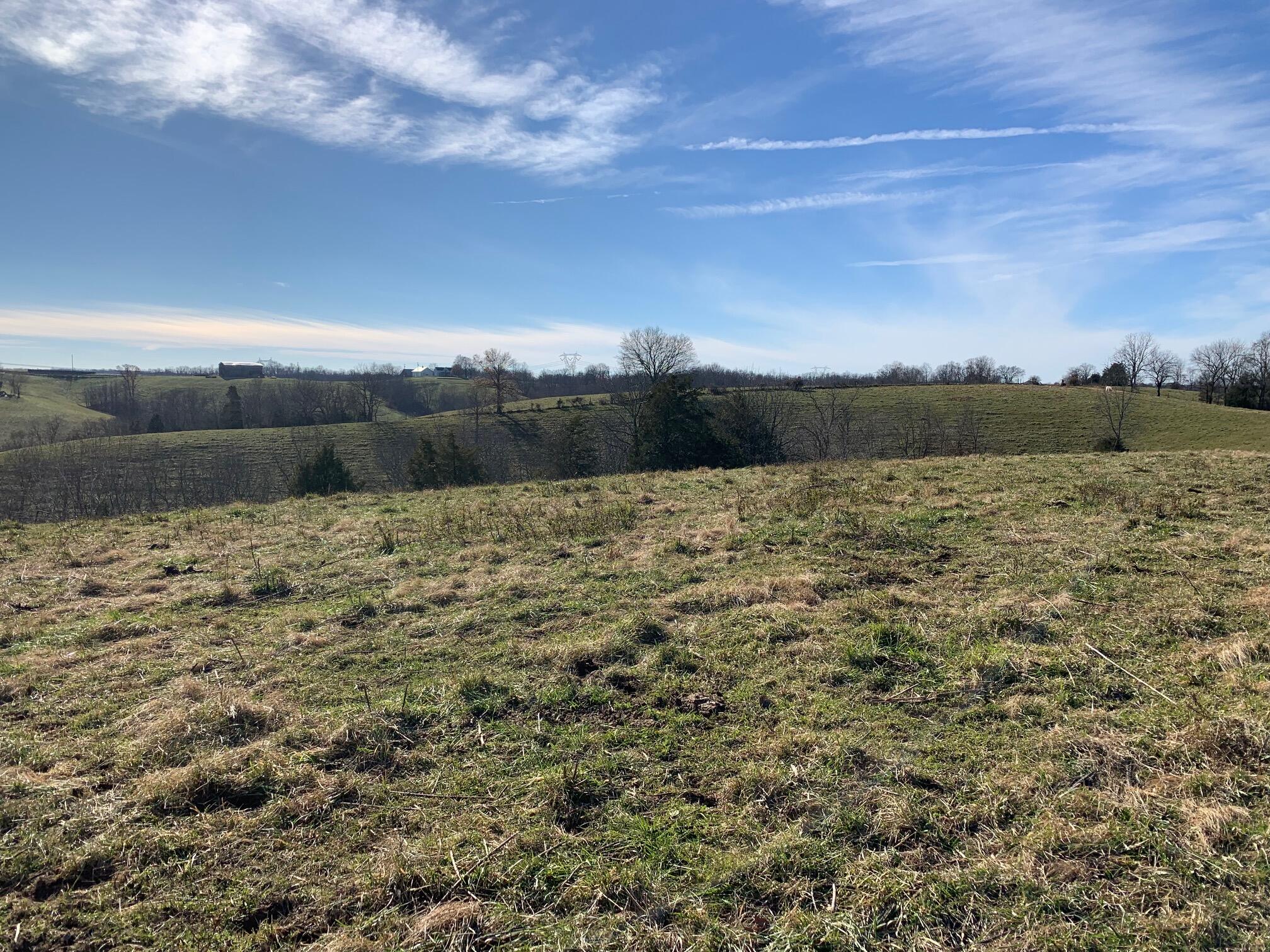 657 Snell Lane Dry Ridge, KY 41035 - Photo 3 of 8