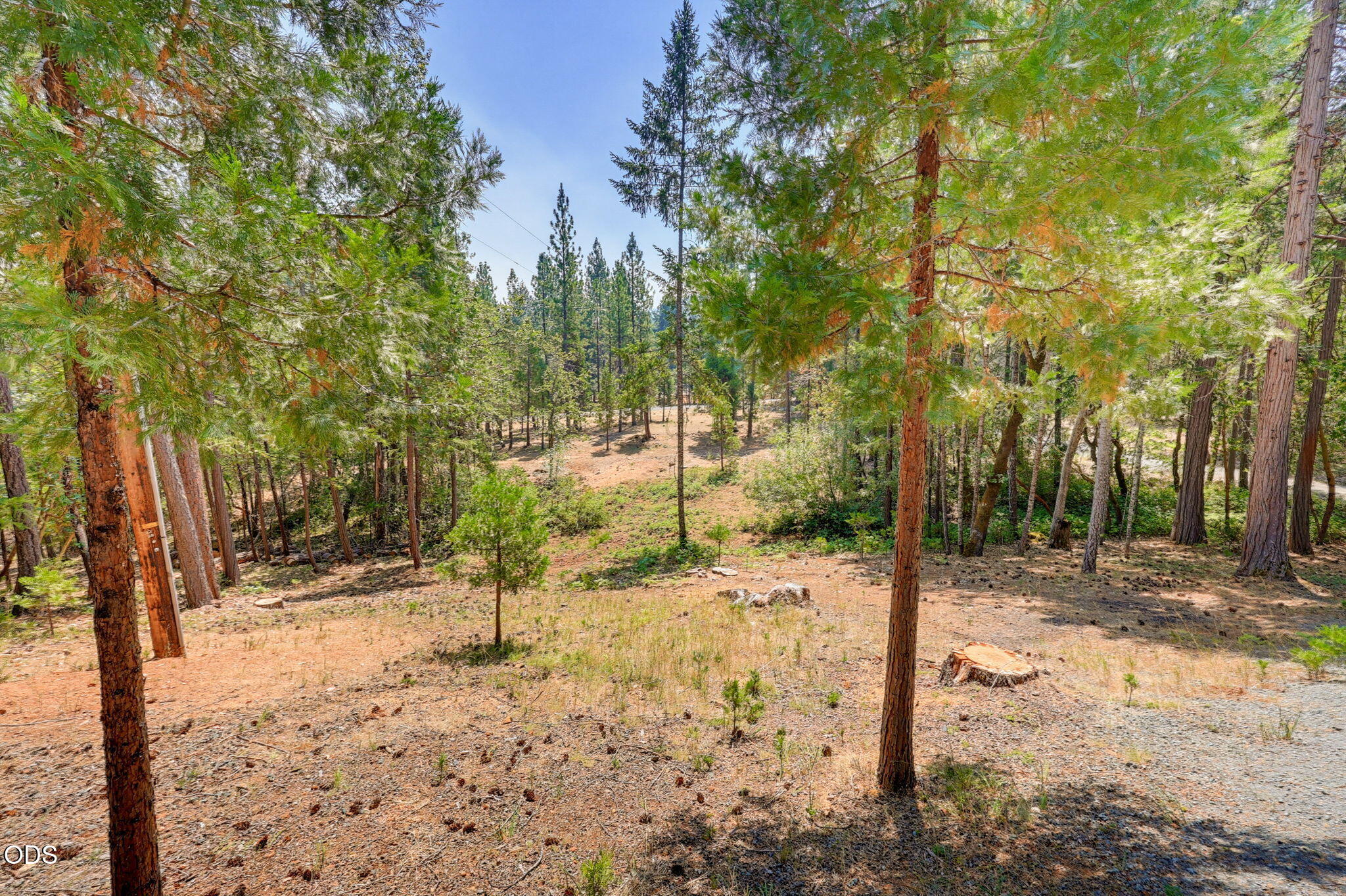 2280 Queens Branch Road Rogue River, OR 97537 - Photo 49 of 62