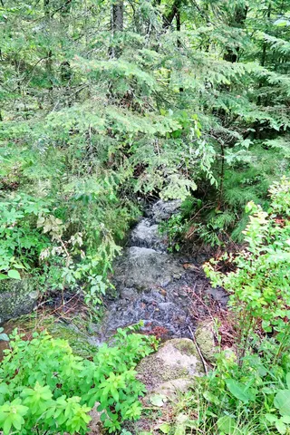 $280,000 | Tbd Easton Road, Sugar Hill, NH 03586