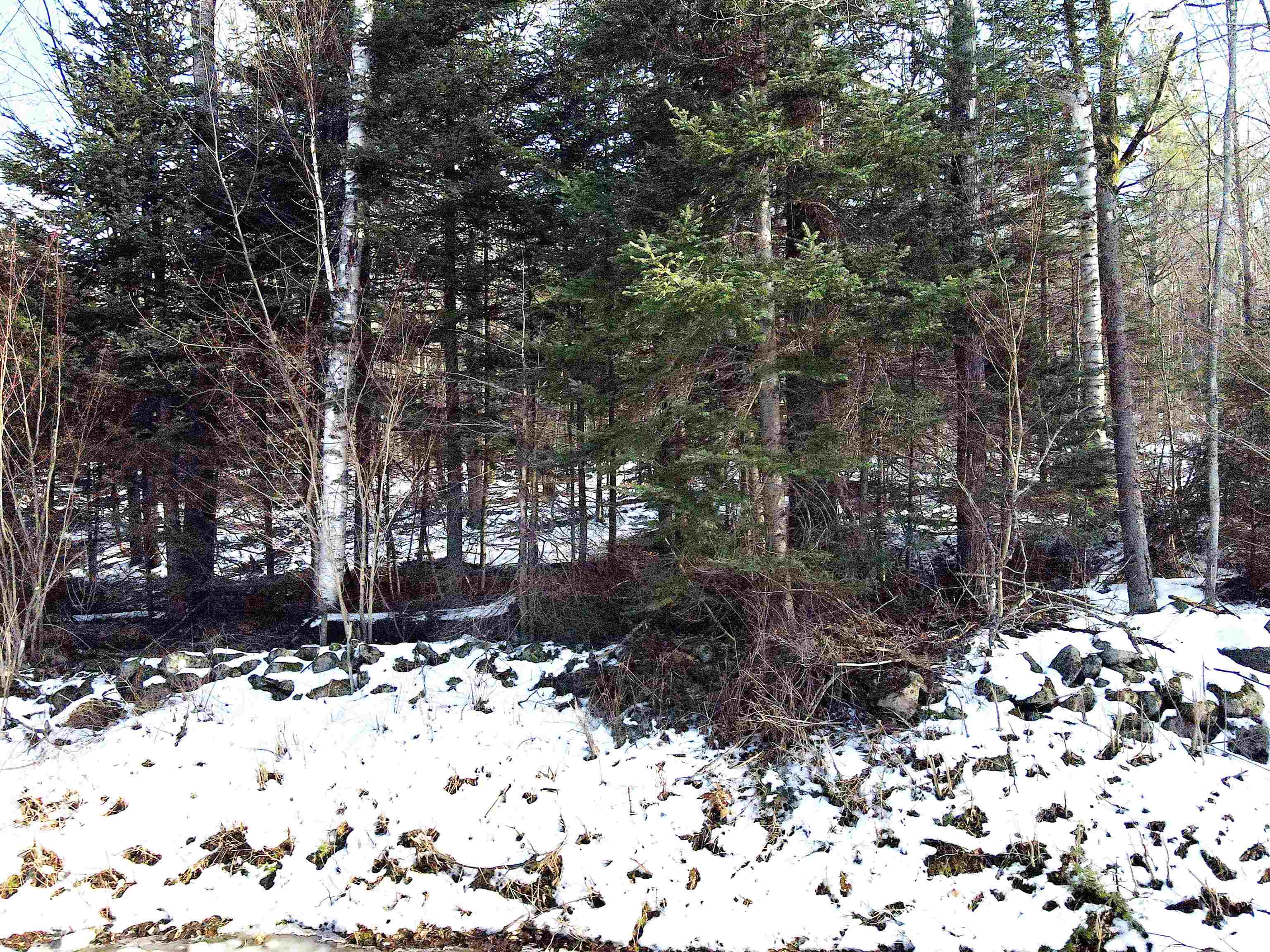 Tbd Easton Road Sugar Hill, NH 03586 - Photo 16 of 33