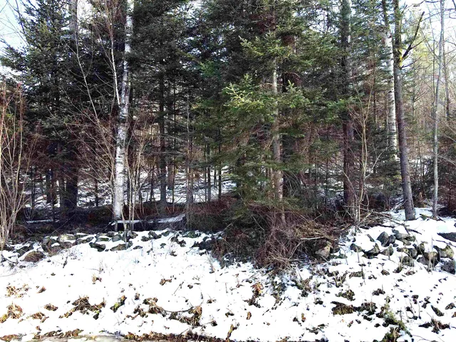 $280,000 | Tbd Easton Road, Sugar Hill, NH 03586