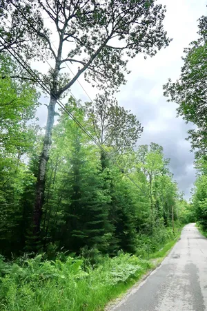 $270,000 | Tbd Easton Road, Sugar Hill, NH 03586