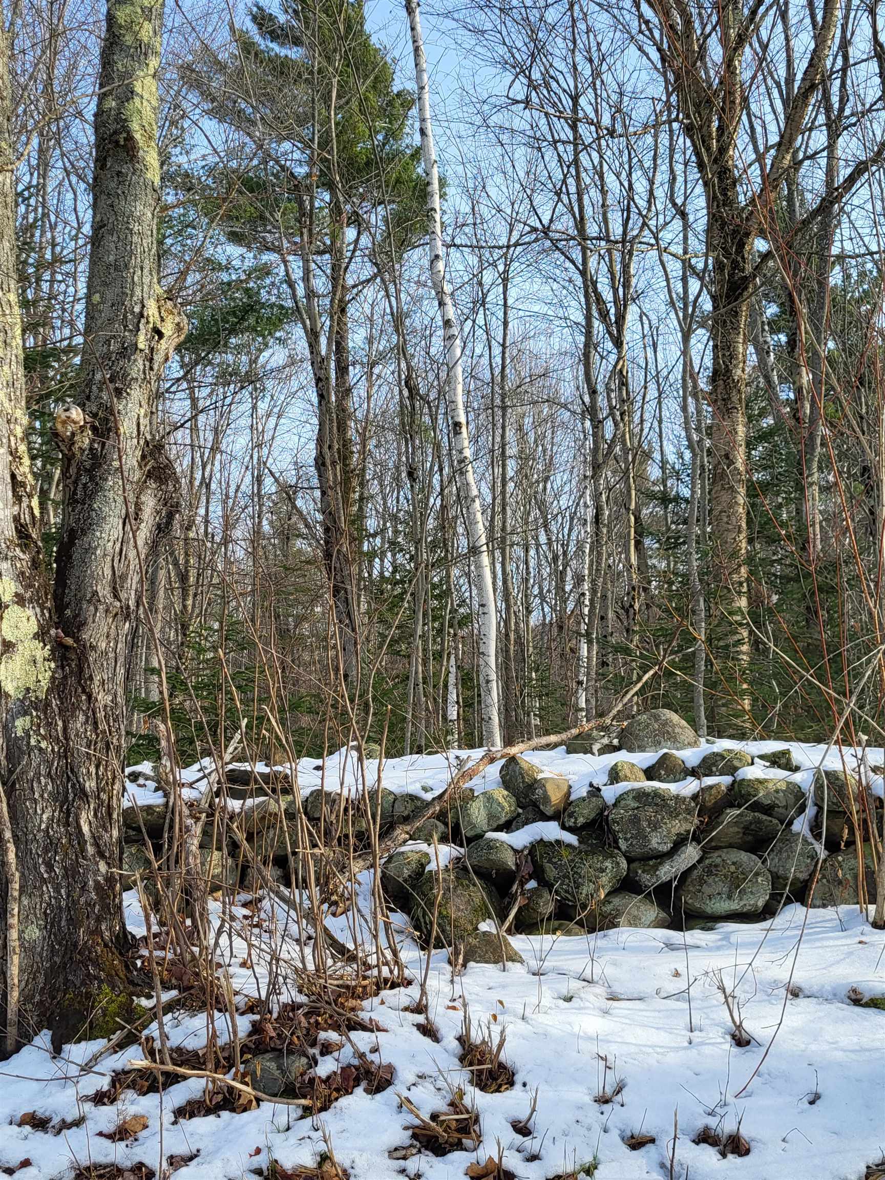 Tbd Easton Road Sugar Hill, NH 03586 - Photo 26 of 26