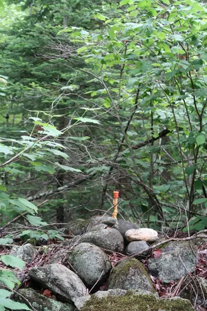 $270,000 | Tbd Easton Road, Sugar Hill, NH 03586