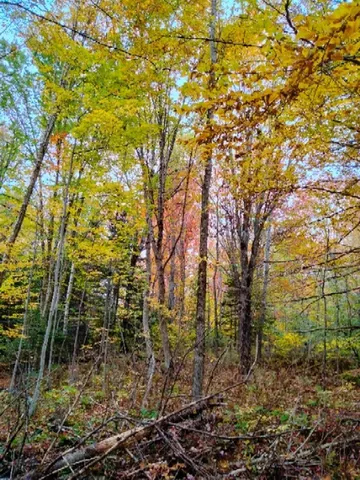 $280,000 | Tbd Easton Road, Sugar Hill, NH 03586