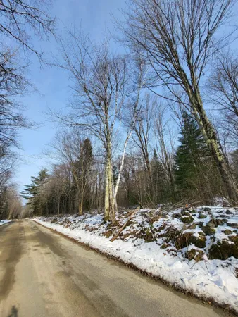 $270,000 | Tbd Easton Road, Sugar Hill, NH 03586