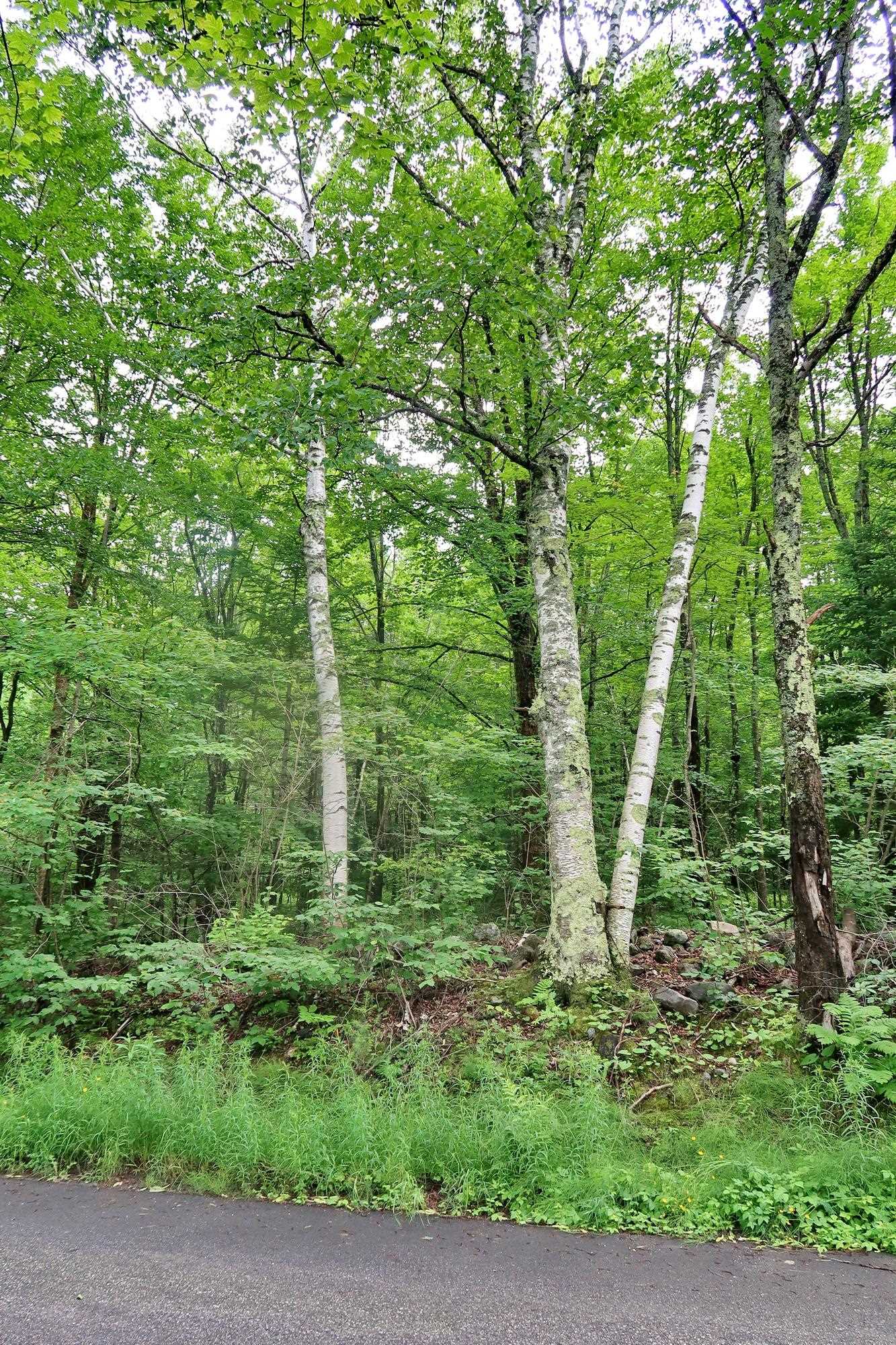Tbd Easton Road Sugar Hill, NH 03586 - Photo 6 of 33