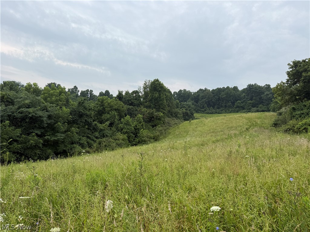 560 Wickens Road Macksburg, OH 45746 - Photo 26 of 43 Gallery Image 26