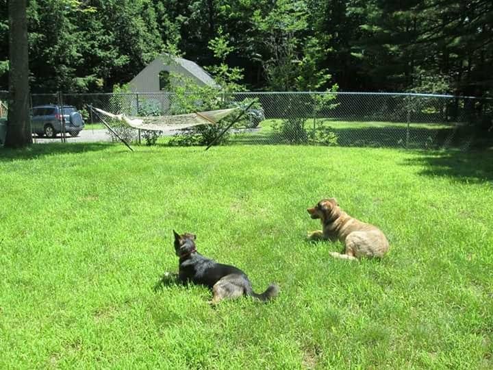 33 A Hemlock Street Rochester, NH 03867 - Photo 25 of 25