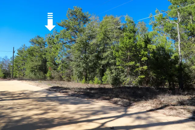 $20,000 | Lot 24 East Marigold Avenue, DeFuniak Springs, FL 32433