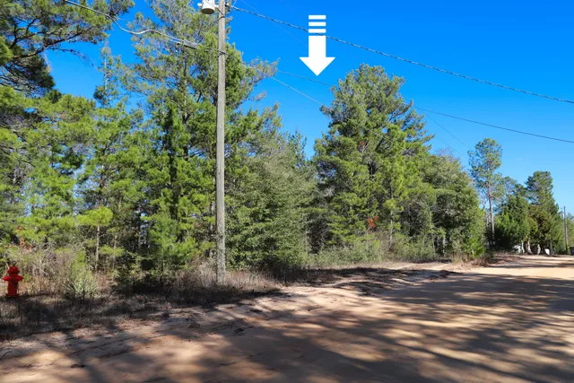 $20,000 | Lot 24 East Marigold Avenue, DeFuniak Springs, FL 32433