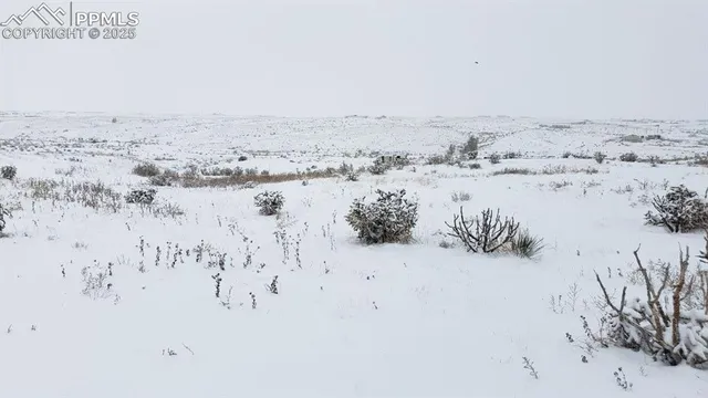 a view of beach and ocean