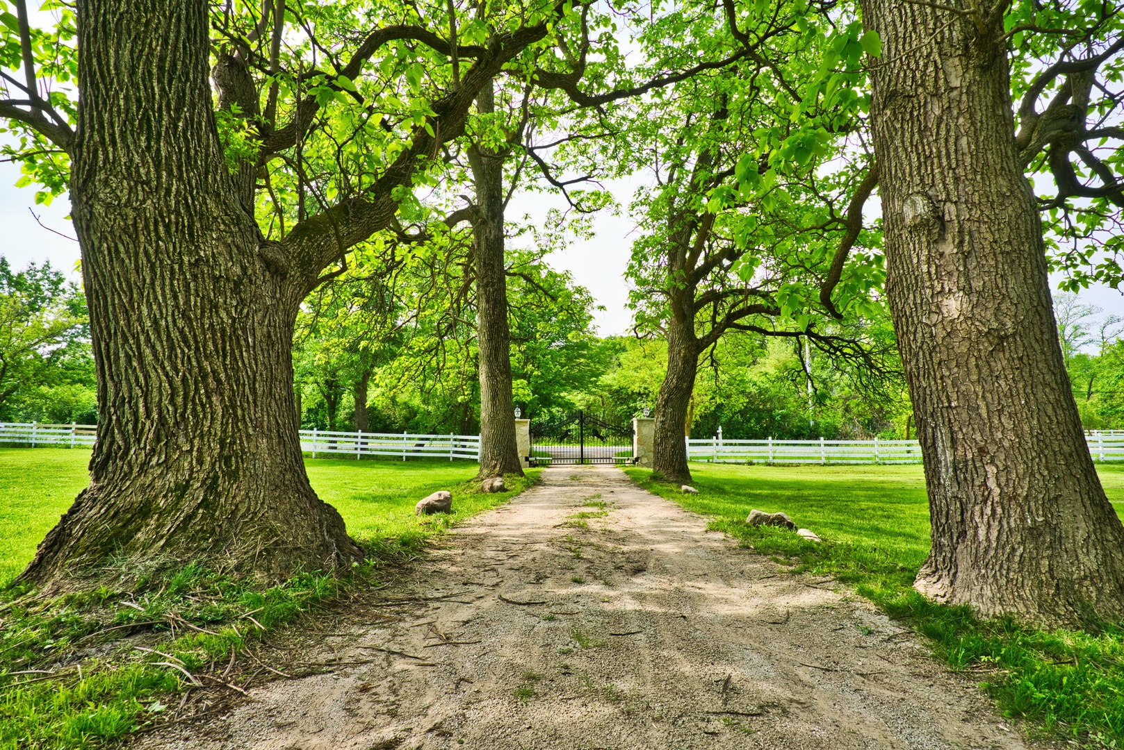 33W878 Army Trail Road Wayne, IL 60184 - Photo 1 of 36 a view of a backyard with large trees