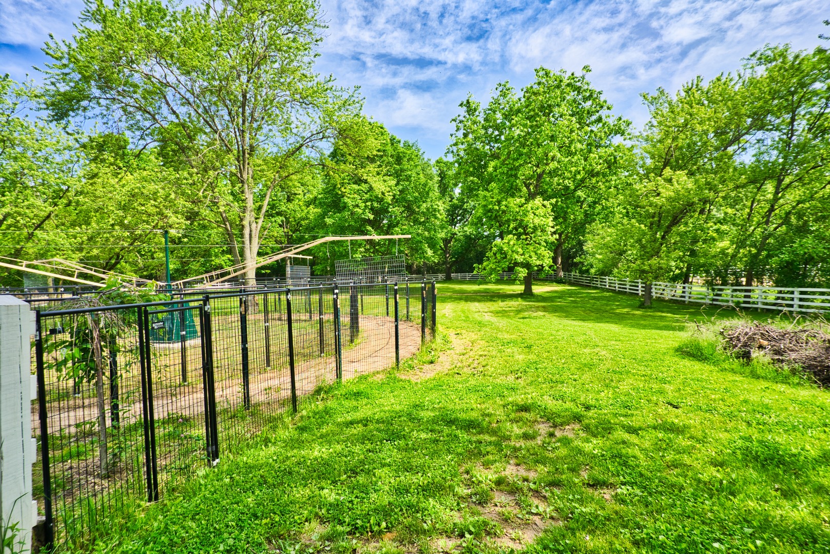 33W878 Army Trail Road Wayne, IL 60184 - Photo 17 of 36 a view of a yard with a large trees