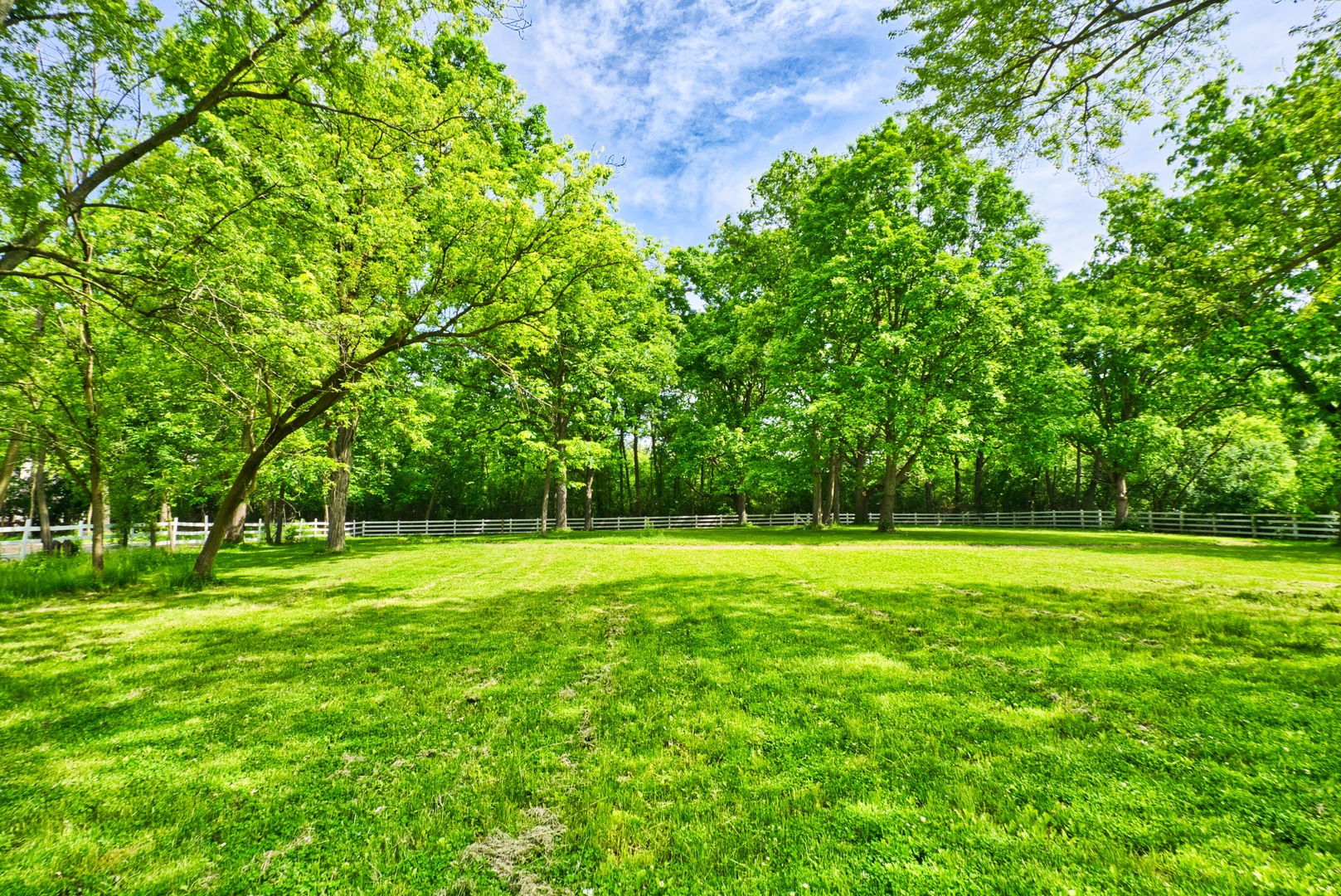 33W878 Army Trail Road Wayne, IL 60184 - Photo 18 of 36 a view of a big yard with a house