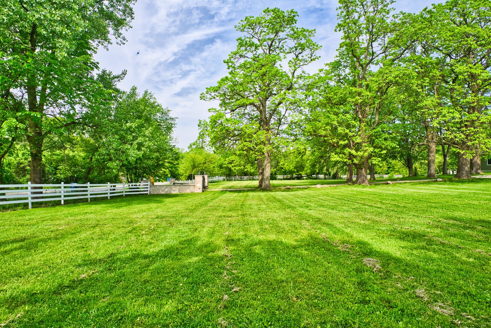 33W878 Army Trail Road Wayne, IL 60184 - Photo 3 of 36 a view of a park and trees