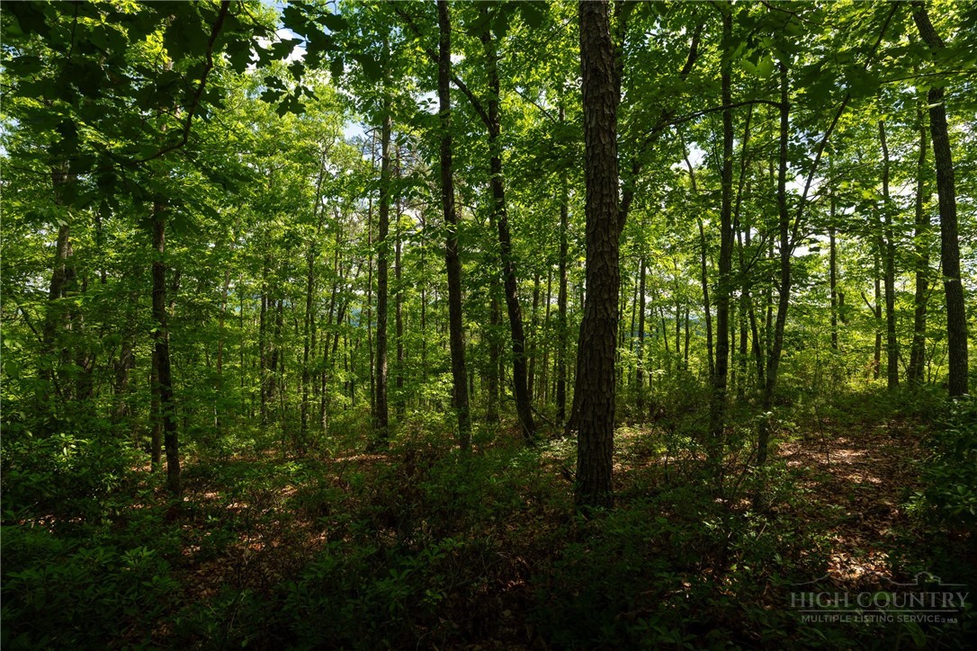 75 Lobelia Lane Boone, NC 28607 - Photo 6 of 50