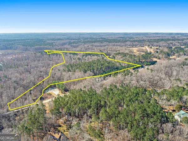 $1,450,000 | 0 Hampton Locust Grove Road, Hampton, GA 30228