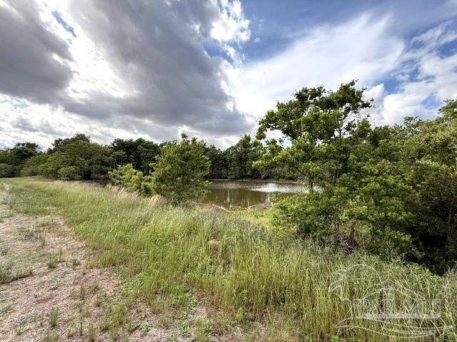 Lot 2-3 Tungoil Road Walnut Hill, FL 32568 - Photo 10 of 11