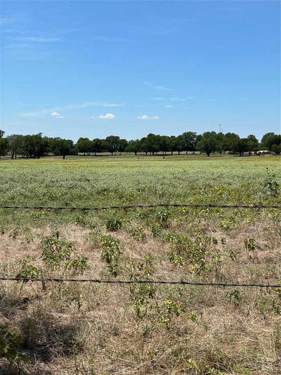 1170 Airport Road Tioga, TX 76271 - Photo 5 of 14 Lots of open pastures