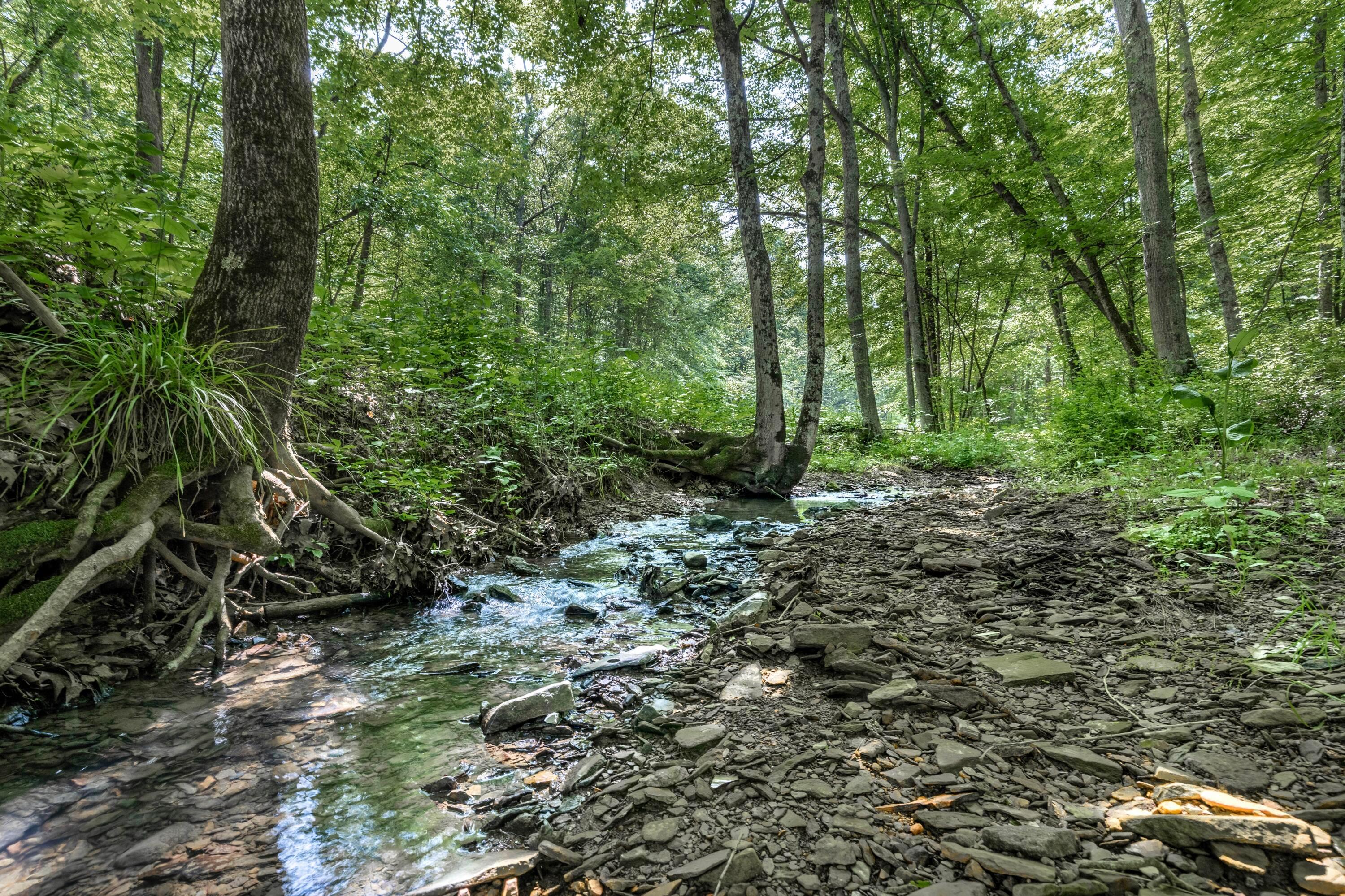 3810 Ok Sweeney Road Somerset, OH 43783 - Photo 34 of 39 1R6A6437-HDR