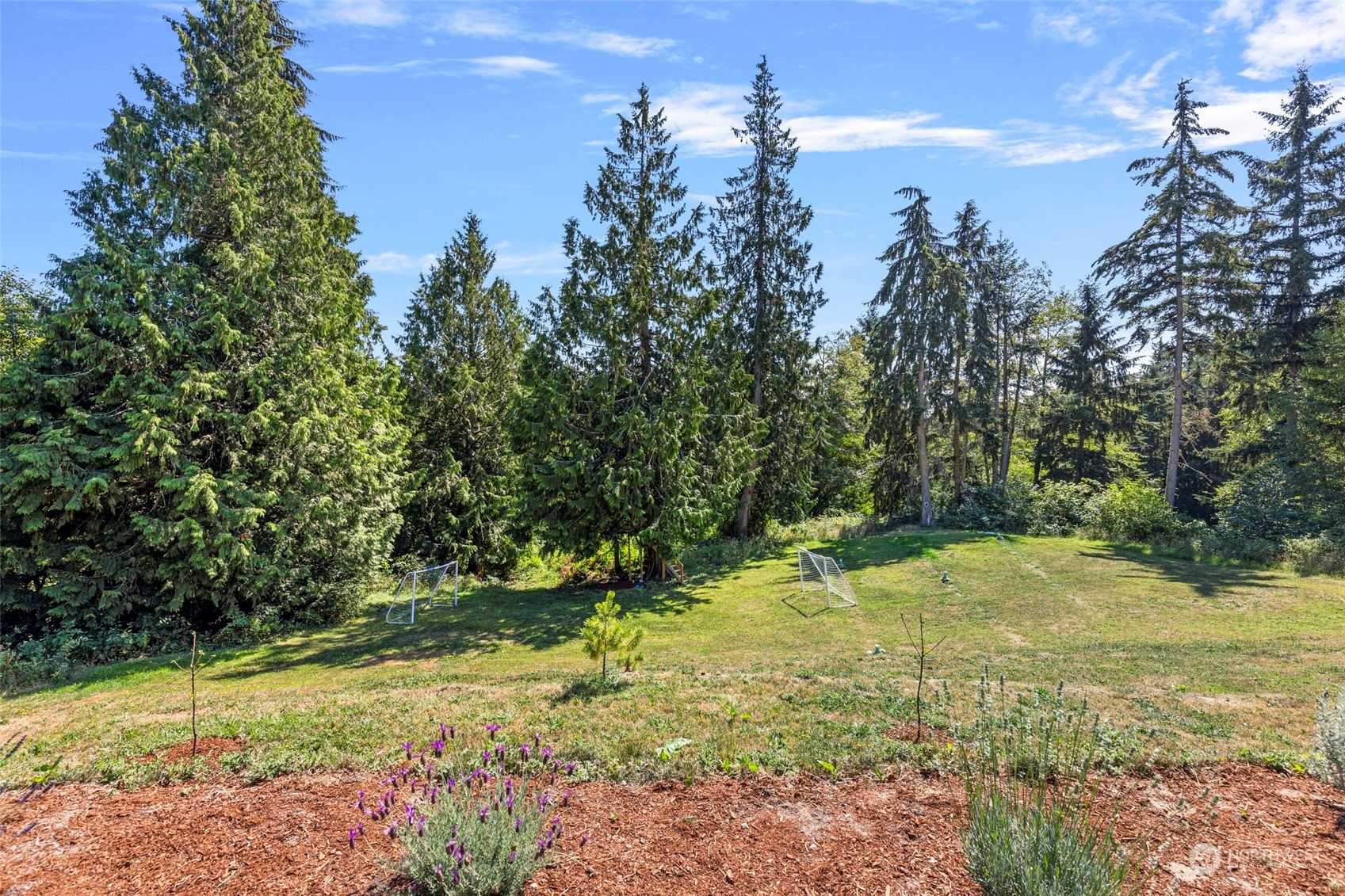 6303 Kirkhill Road Clinton, WA 98236 - Photo 33 of 40 a view of a yard with trees