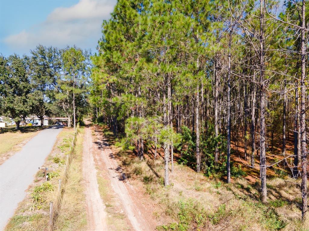 Lost Lake Road Clermont, FL 34711 - Photo 10 of 12