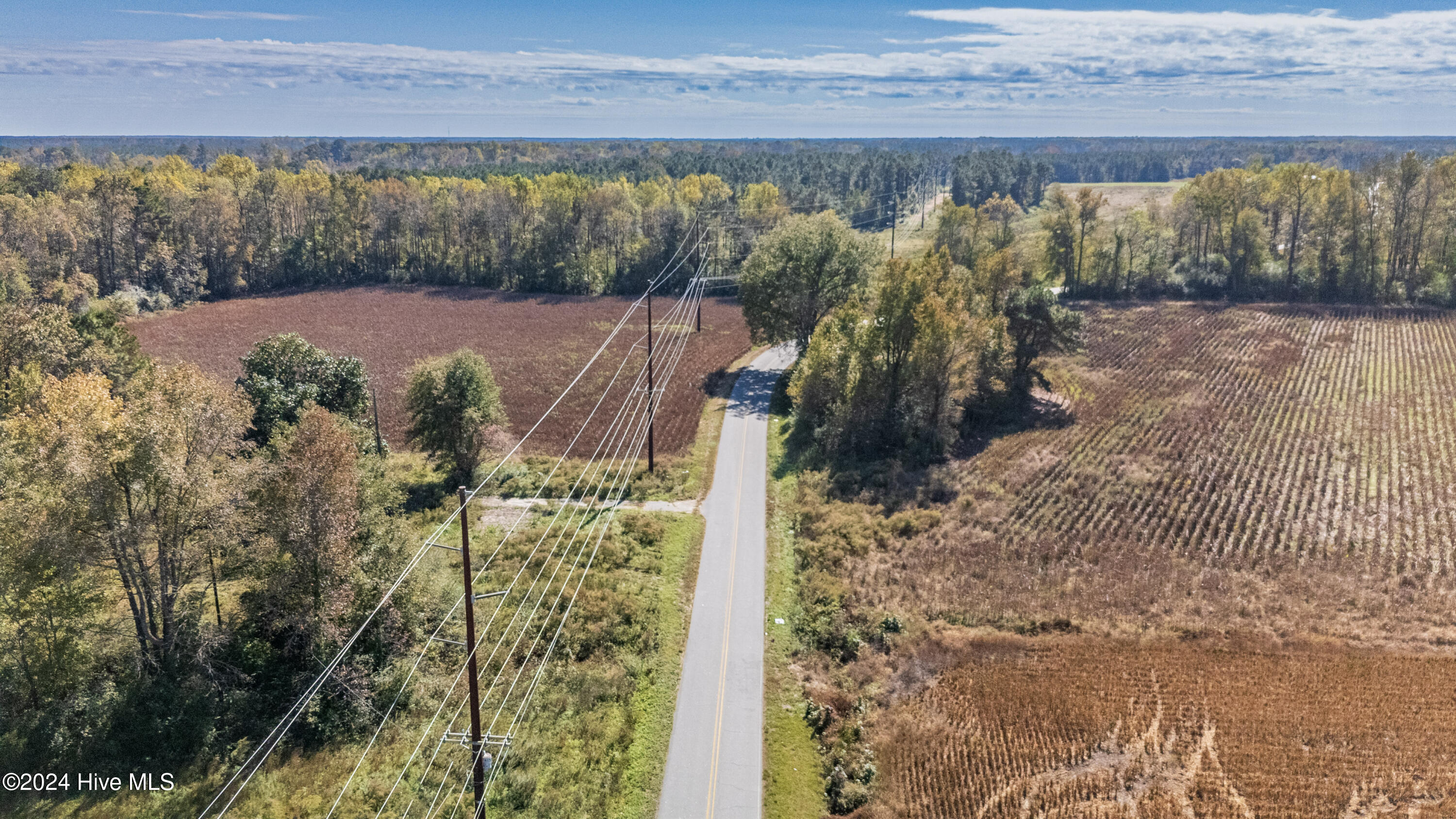205 Cedar Fork Road Beulaville, NC 28518 - Photo 18 of 19 17