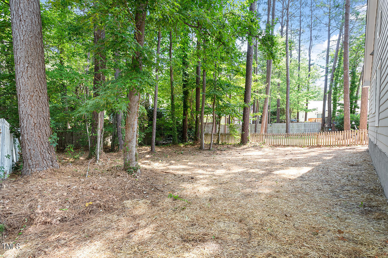 3541 Singleleaf Lane Raleigh, NC 27616 - Photo 31 of 34 3541 Singleleaf Ln_04