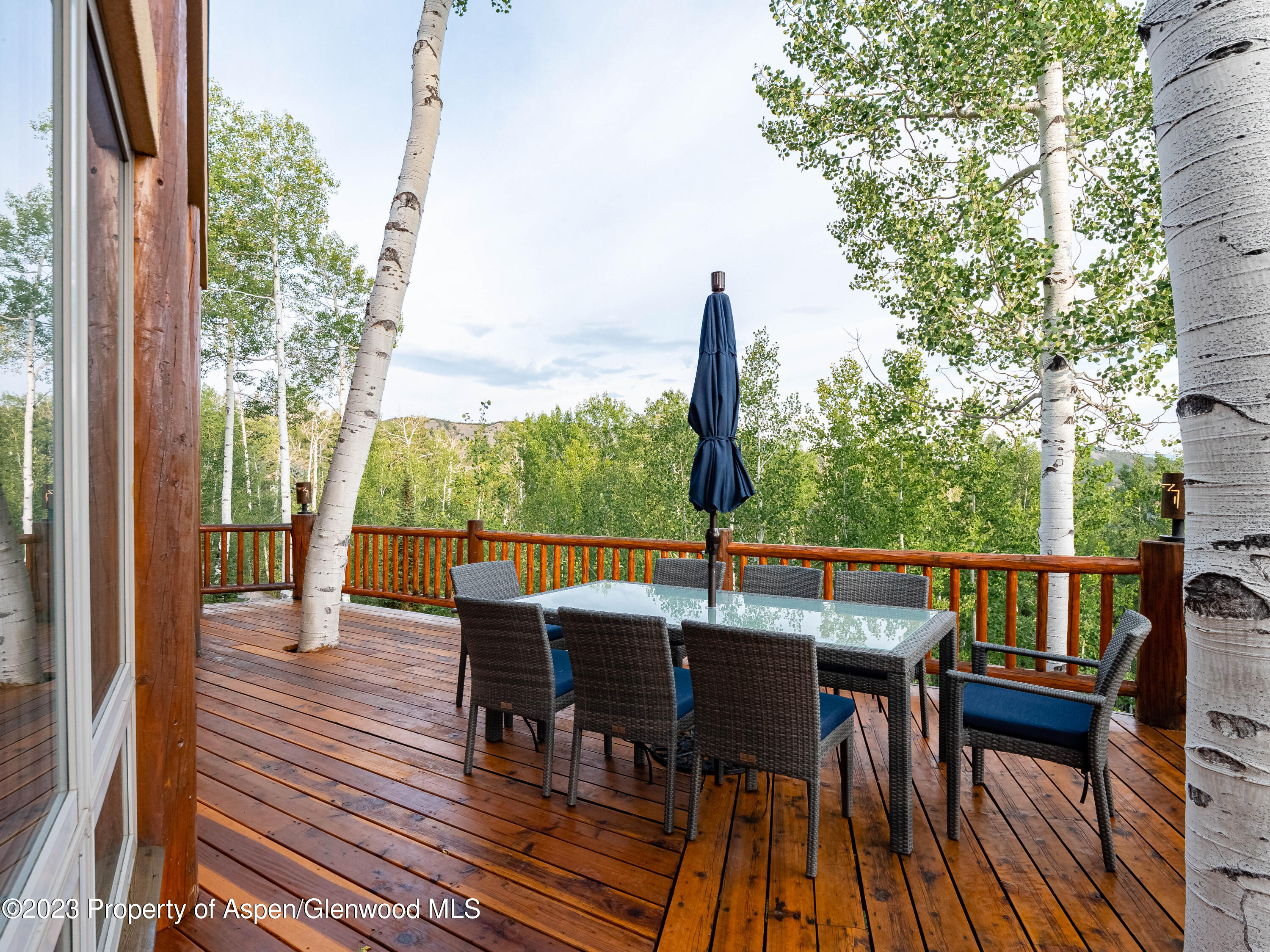 40 Maple Ridge Lane Snowmass Village, CO 81615 - Photo 37 of 45 40 Maple Ridge Lane