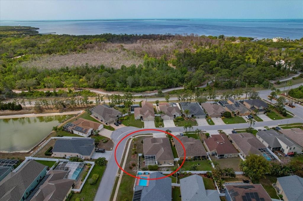 2634 Ravendale Lane Holiday, FL 34691 - Photo 48 of 57