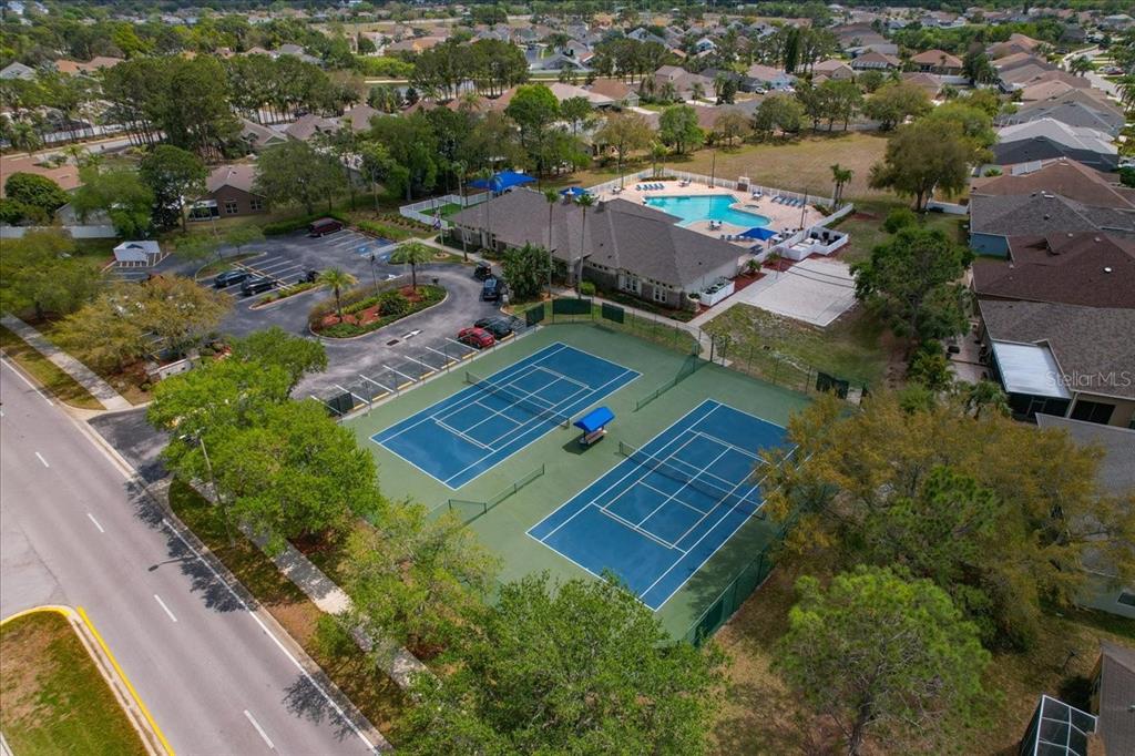 2634 Ravendale Lane Holiday, FL 34691 - Photo 49 of 57