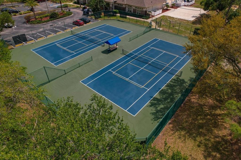 2634 Ravendale Lane Holiday, FL 34691 - Photo 54 of 57