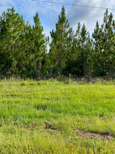 0 Atticus Road Lakeland, GA 31635 - Photo 8 of 18 Gallery Image 8
