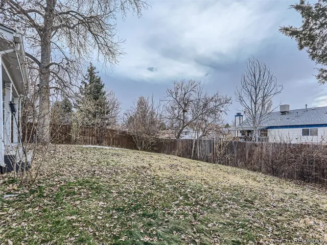 a view of large yard with trees