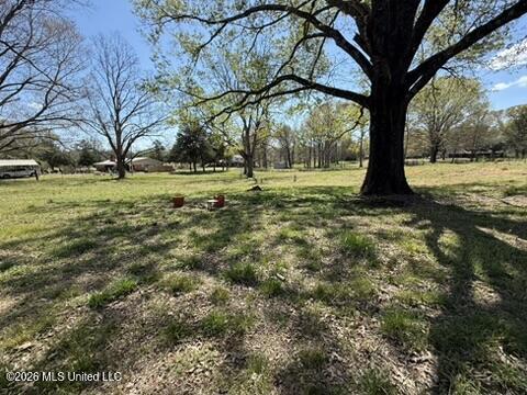 1332 Walker Road Terry, MS 39170 - Photo 23 of 61 B28315E0-CBD9-493D-B8EC-7747E3E2A6E5_4_5