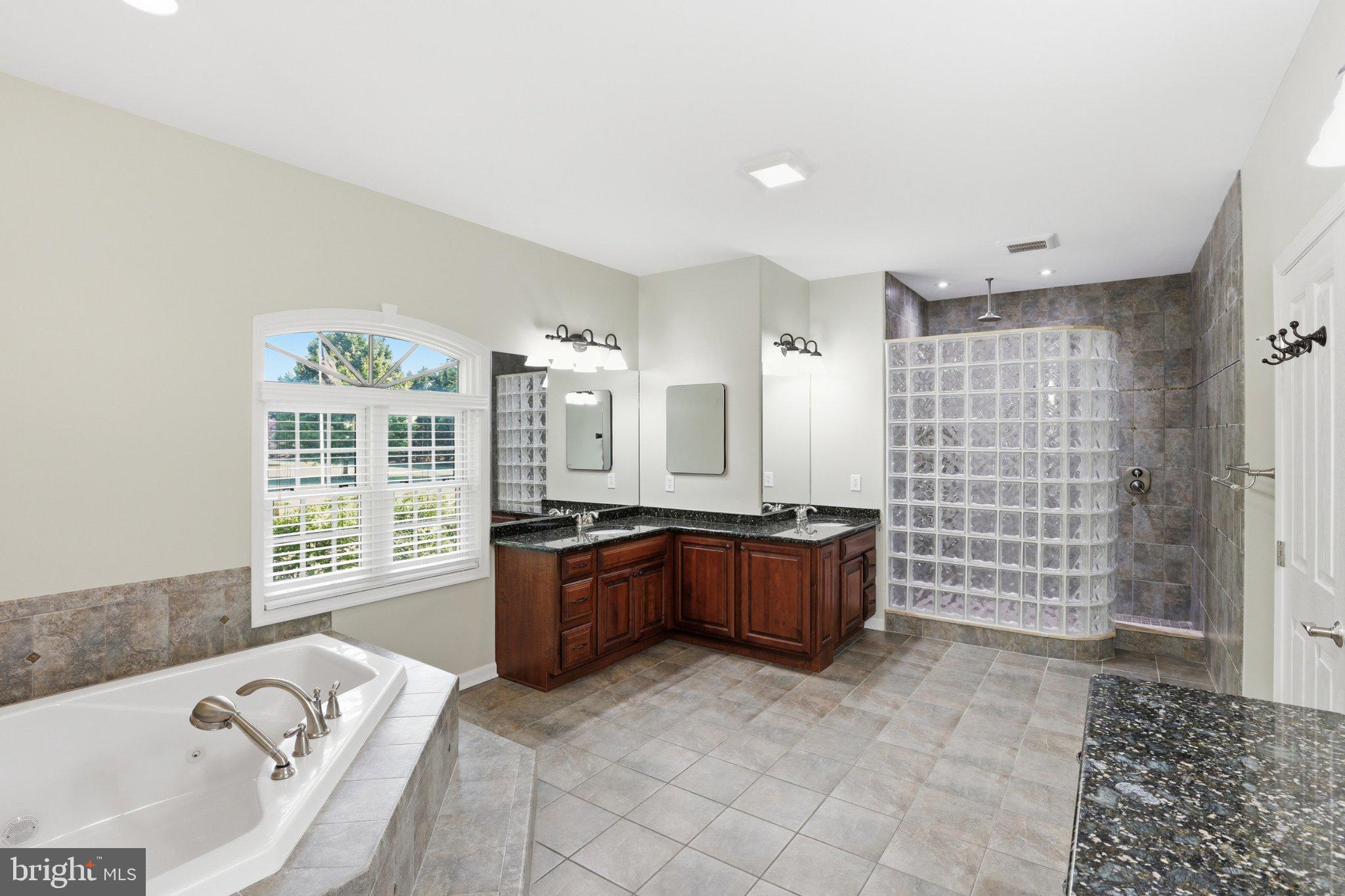 16932 Fitzgeralds Road Lincoln, DE 19960 - Photo 42 of 103 Spacious, modern bathroom retreat.