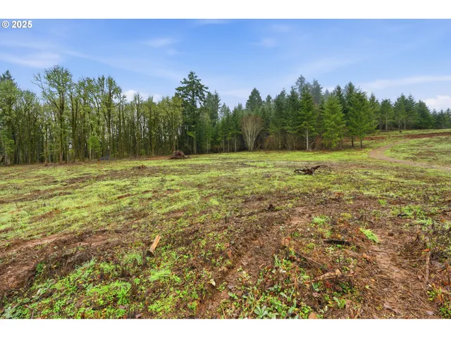 a view of a field with trees in the background