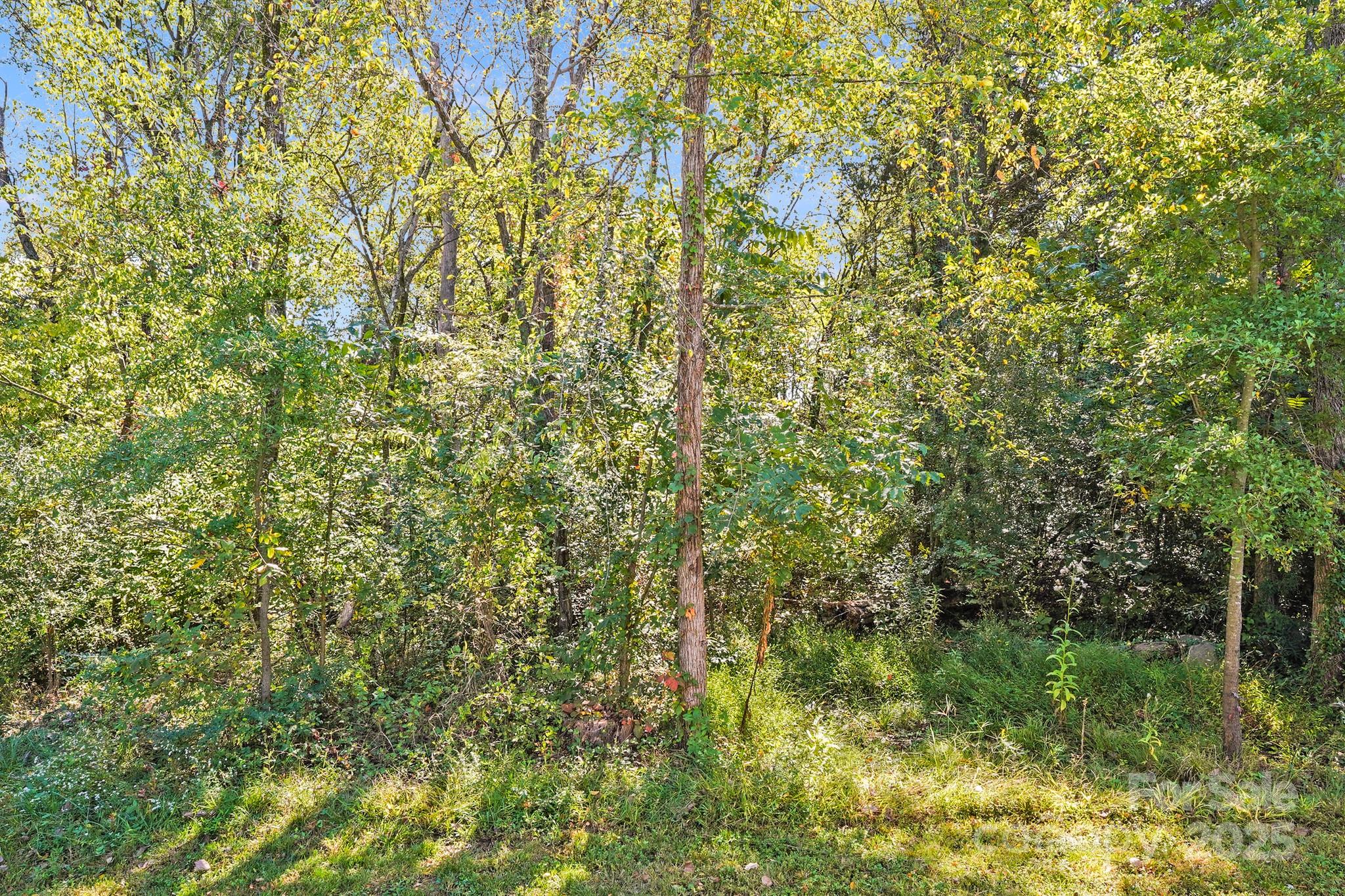 3133 Roberta Road Concord, NC 28027 - Photo 21 of 22 a view of a yard