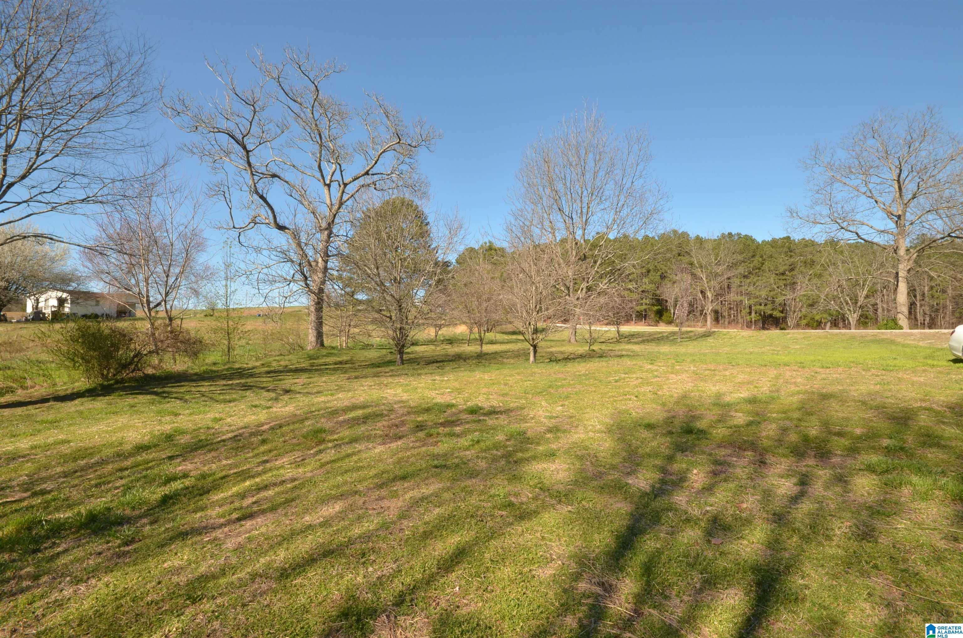 1291 Rb Shadrix Road Hayden, AL 35079 - Photo 22 of 22