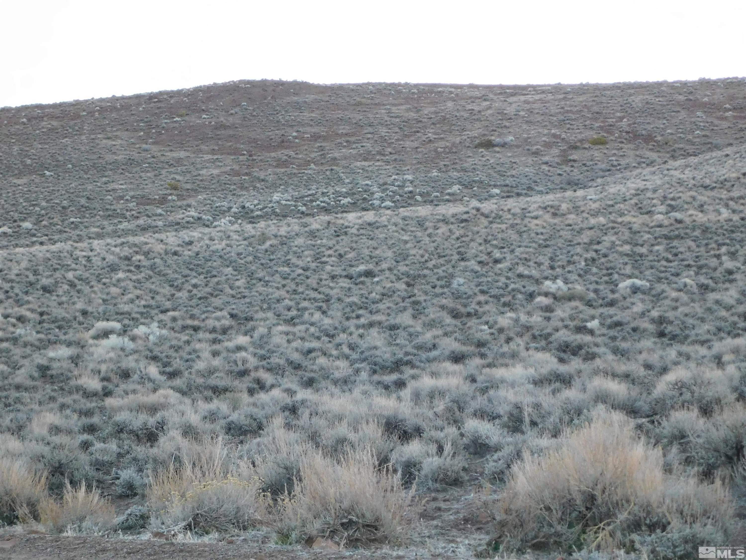 610106 Schaad Lane Dayton, NV 89403 - Photo 11 of 34 a view of a field with an outdoor space