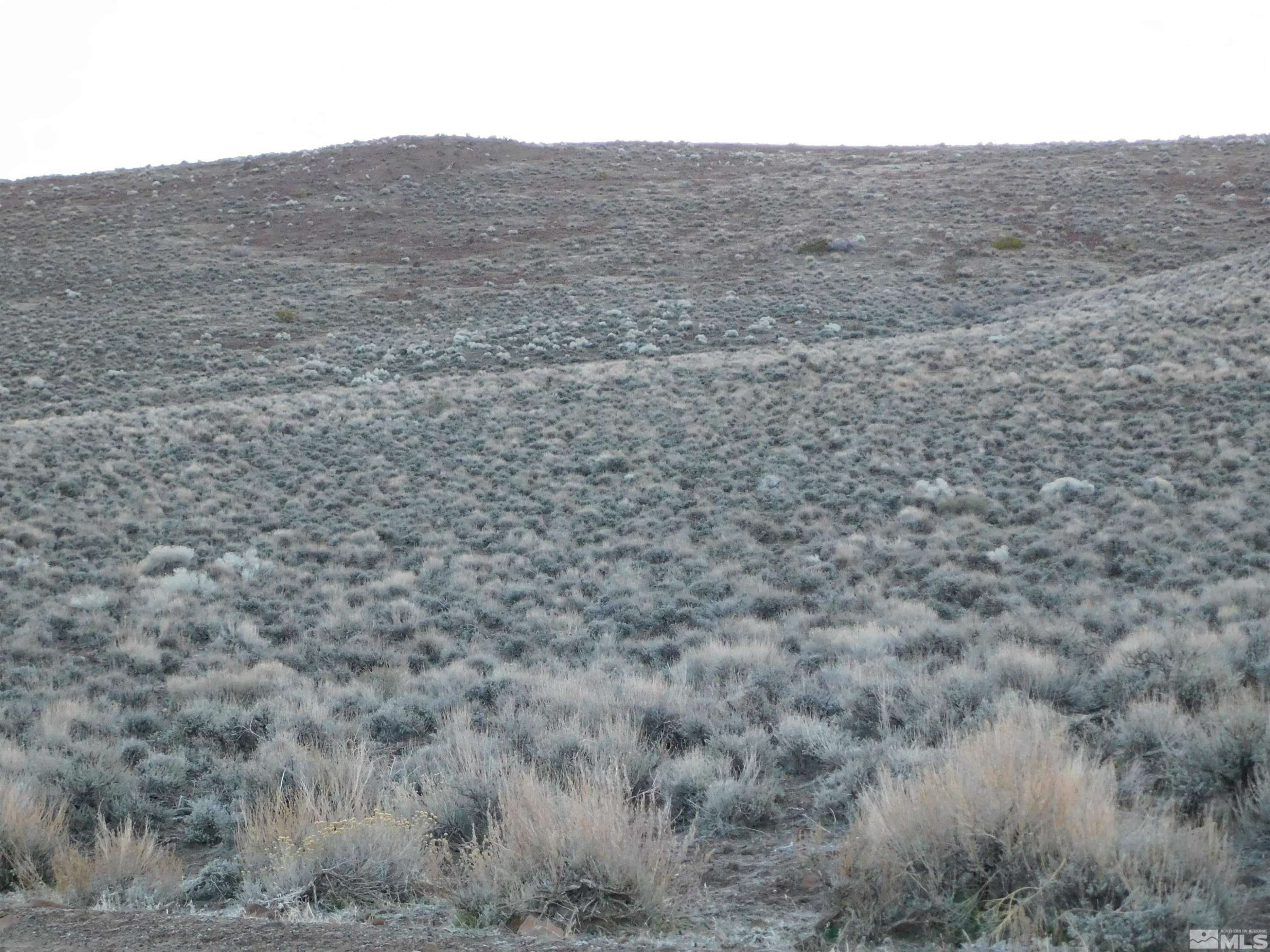 610106 Schaad Lane Dayton, NV 89403 - Photo 13 of 34 a view of a big yard